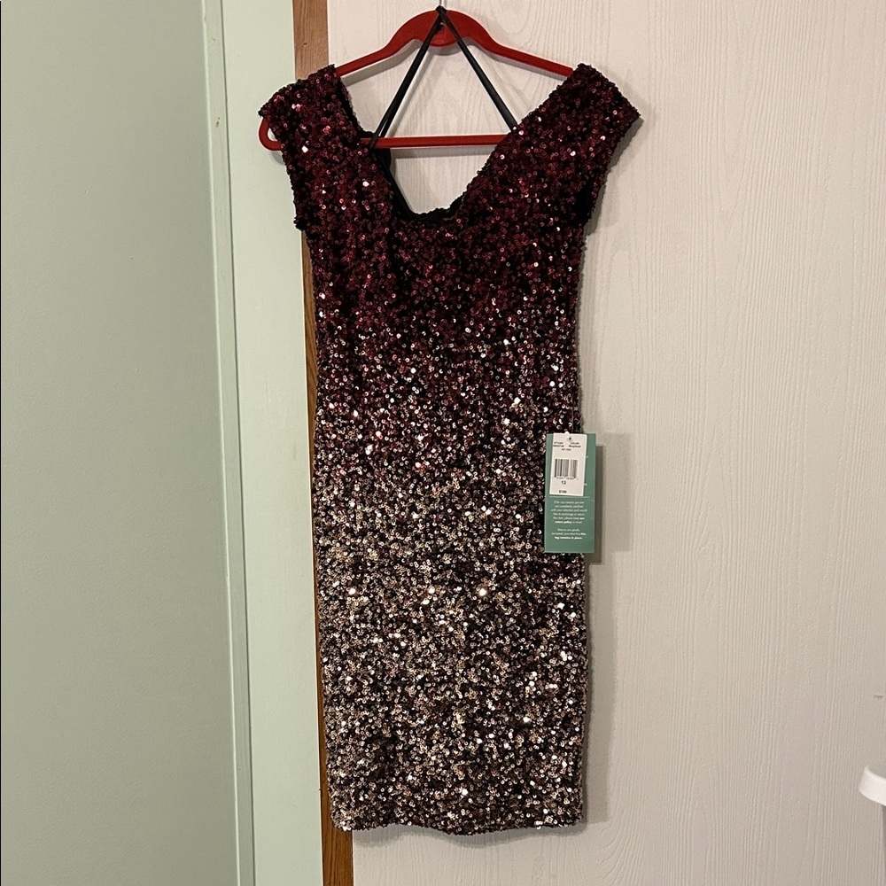 B. Smart Sequin Ombre Dress Size 13